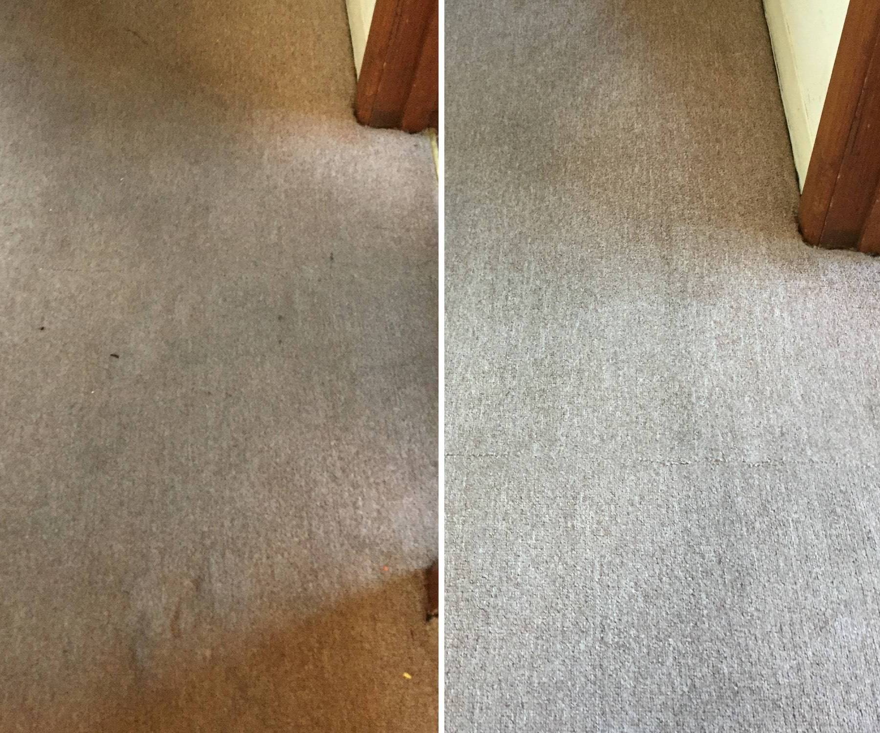 Carpet Cleaning Services In Melbourne
